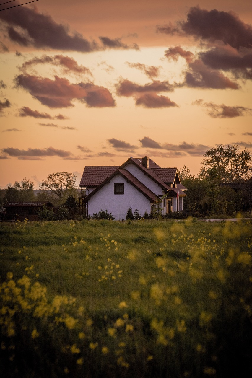 house, meadow, grass, home